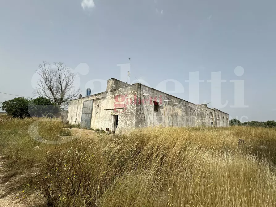 Immagine 14 di Villa in vendita  in Strada Provinciale 101, 1 a Campi Salentina