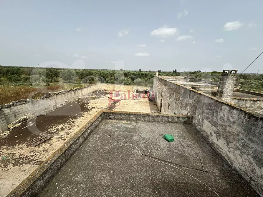 Immagine 21 di Villa in vendita  in Strada Provinciale 101, 1 a Campi Salentina