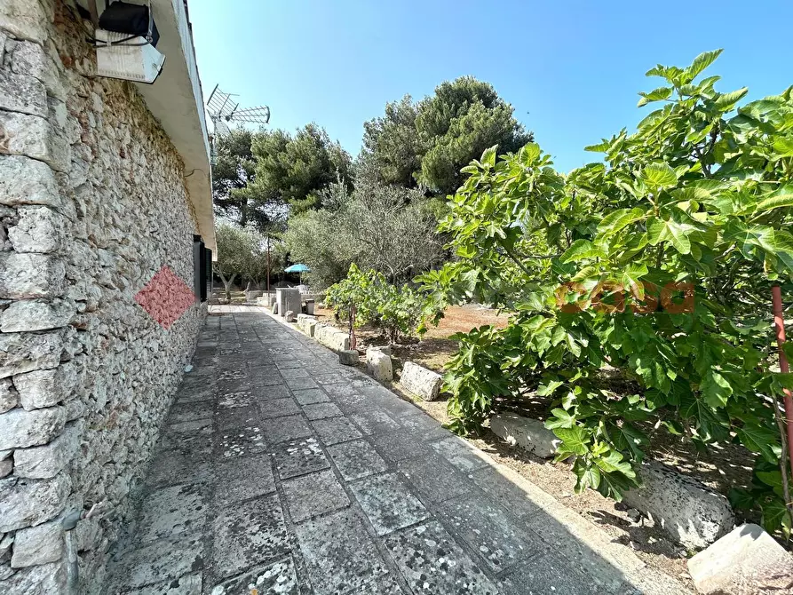 Immagine 28 di Villa in vendita  in Via san giovanni a Santa Cesarea Terme