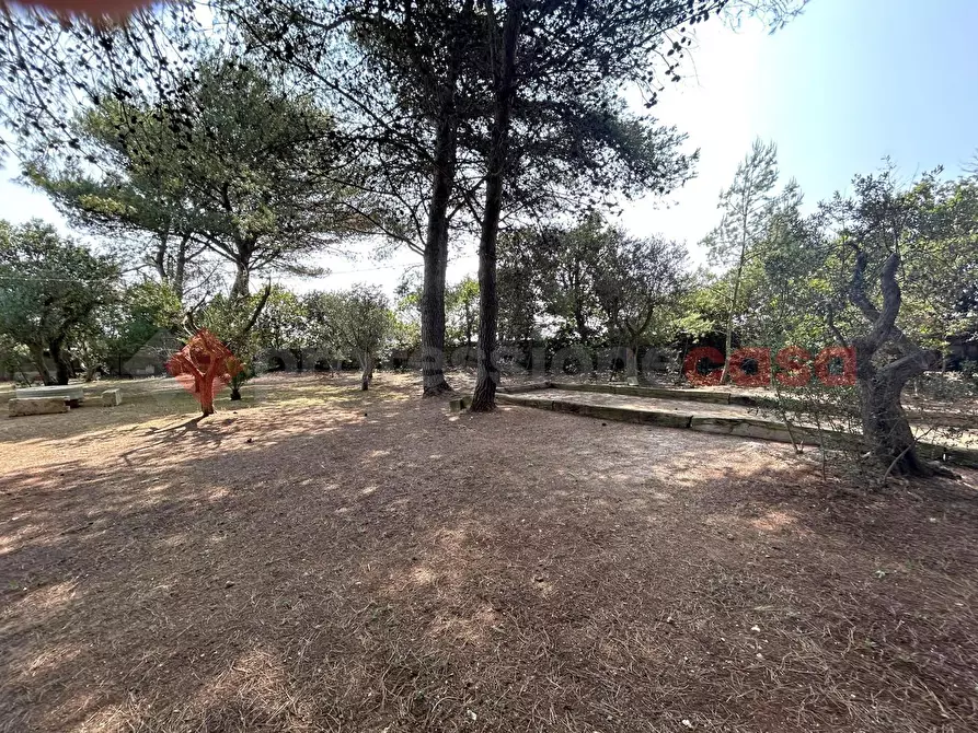 Immagine 24 di Villa in vendita  in Via san giovanni a Santa Cesarea Terme