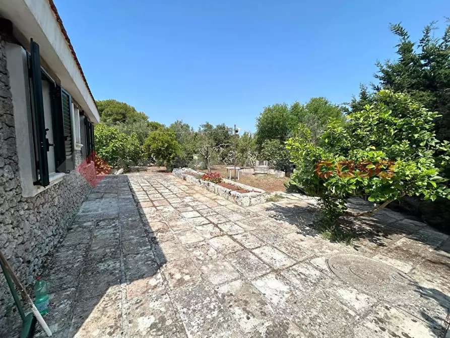 Immagine 27 di Villa in vendita  in Via san giovanni a Santa Cesarea Terme