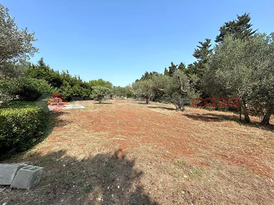 Immagine 30 di Villa in vendita  in Via san giovanni a Santa Cesarea Terme