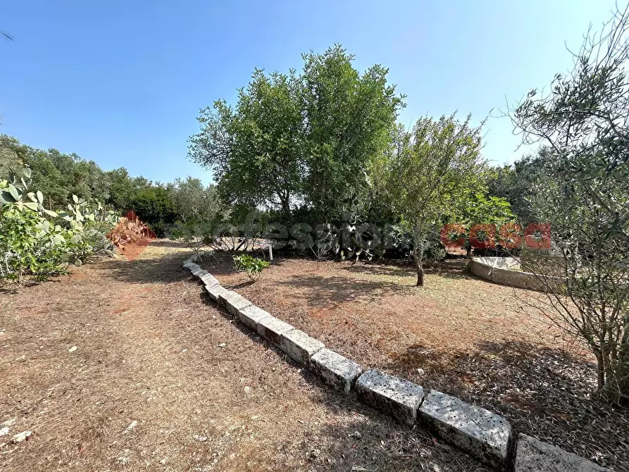 Immagine 29 di Villa in vendita  in Via san giovanni a Santa Cesarea Terme