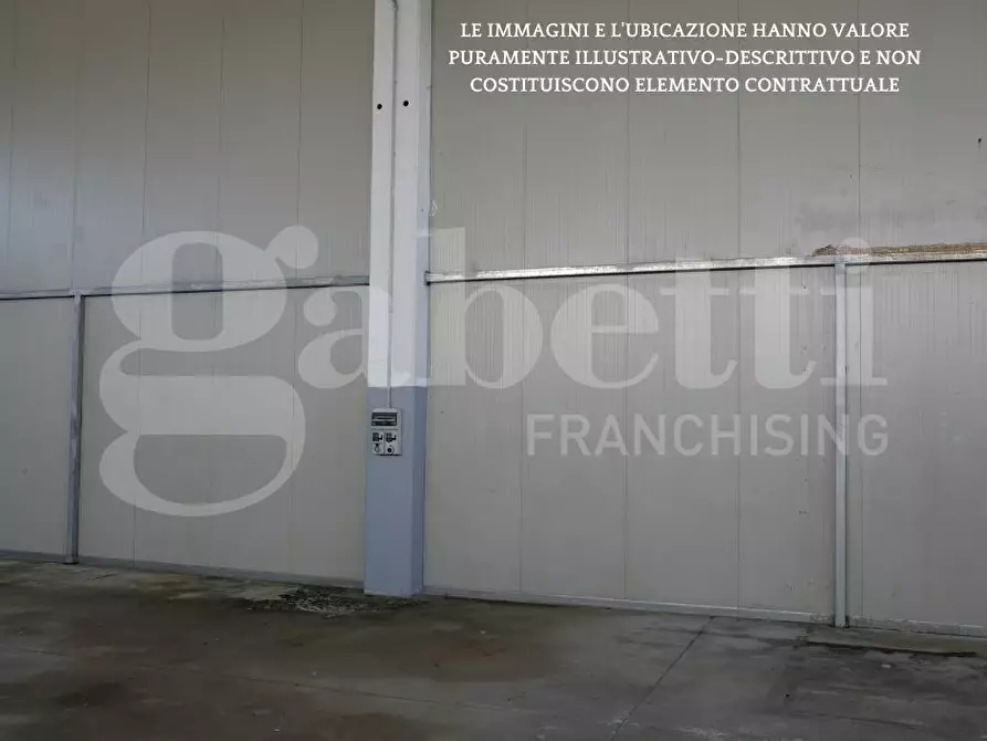 Immagine 3 di Capannone industriale in vendita  in Via CA' BIANCA - VIA PALADE, 00 a Chioggia