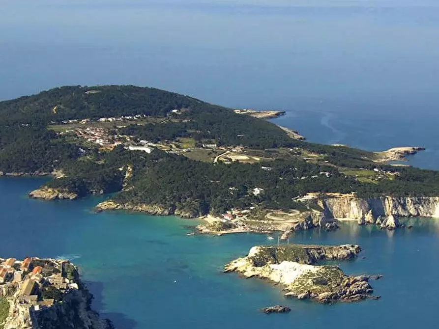 Immagine 5 di Palazzo in vendita  in Via DEI PLATANI a Lesina