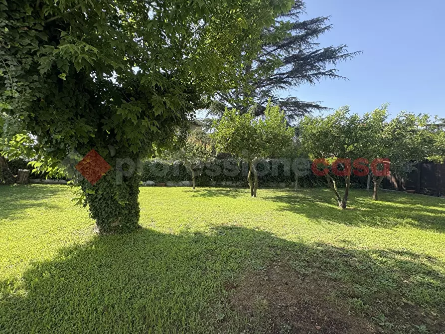 Immagine 23 di Casa trifamiliare in vendita  in Strada PROVINCIALE SAN FELICE CIRCEO, 5 a Terracina