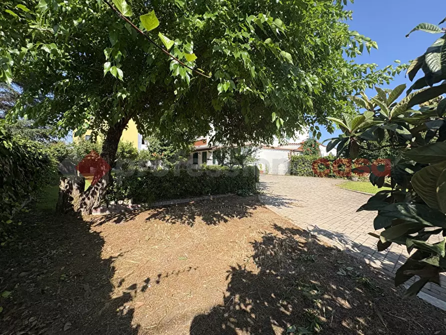 Immagine 17 di Casa trifamiliare in vendita  in Strada PROVINCIALE SAN FELICE CIRCEO, 5 a Terracina