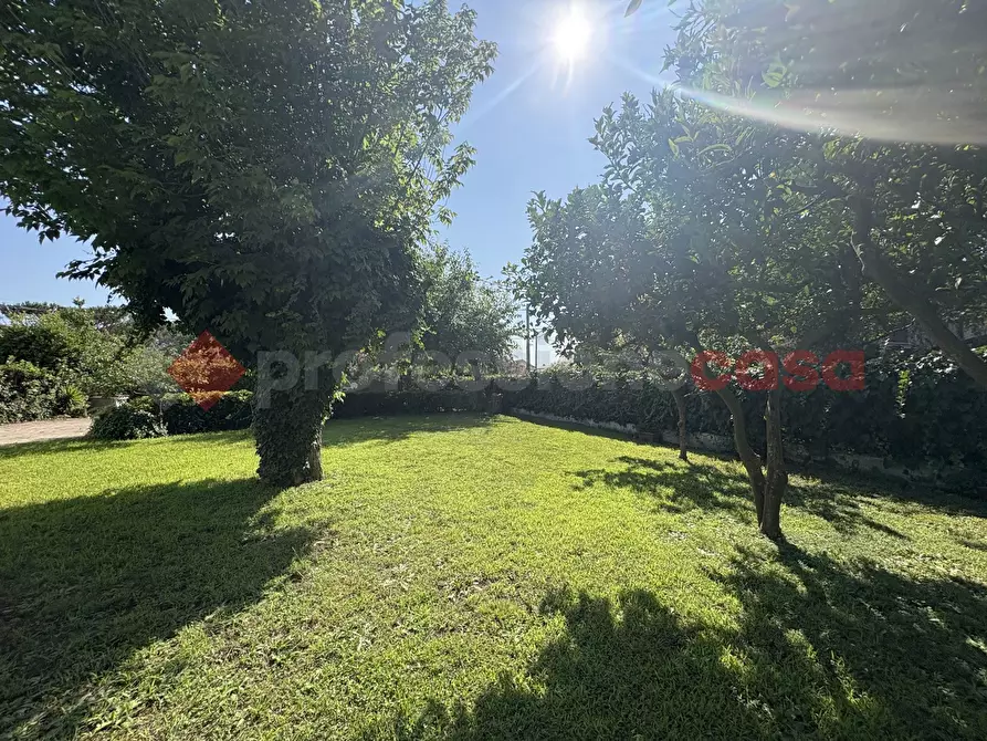 Immagine 26 di Casa trifamiliare in vendita  in Strada PROVINCIALE SAN FELICE CIRCEO, 5 a Terracina