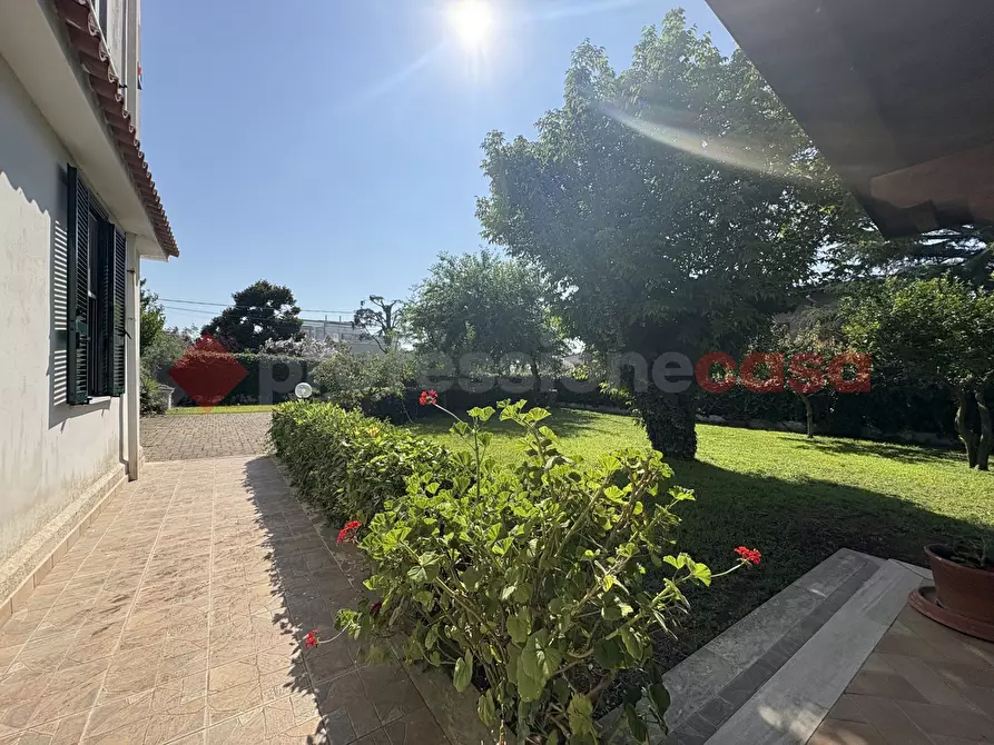 Immagine 5 di Casa trifamiliare in vendita  in Strada PROVINCIALE SAN FELICE CIRCEO, 5 a Terracina