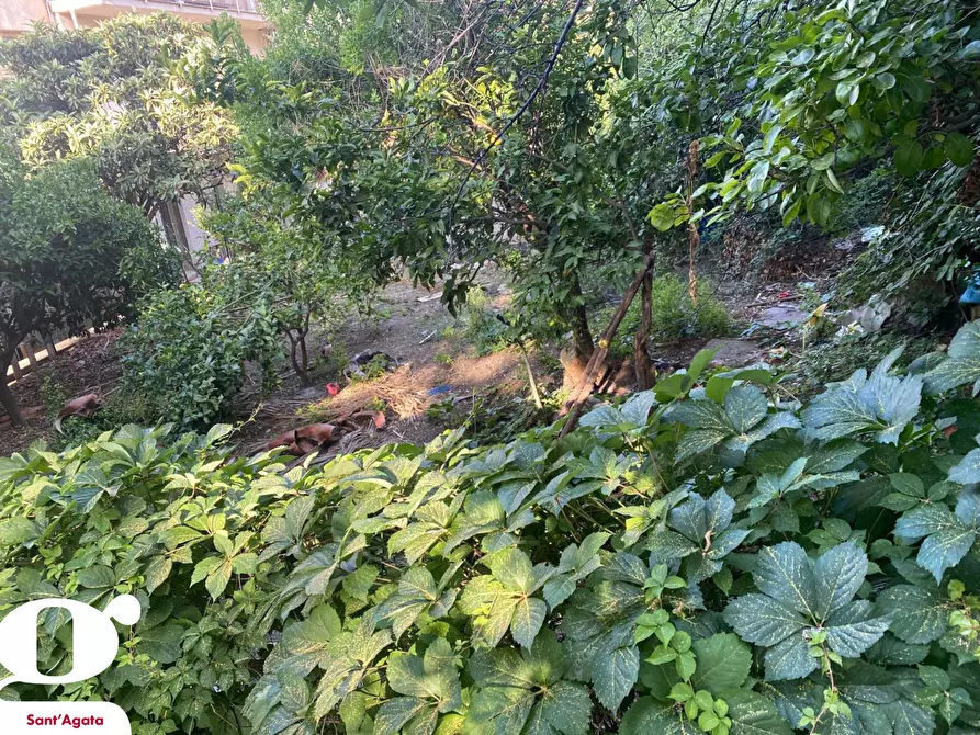 Immagine 25 di Villa in vendita  in Contrada BARRANCA, SNC a Acquedolci