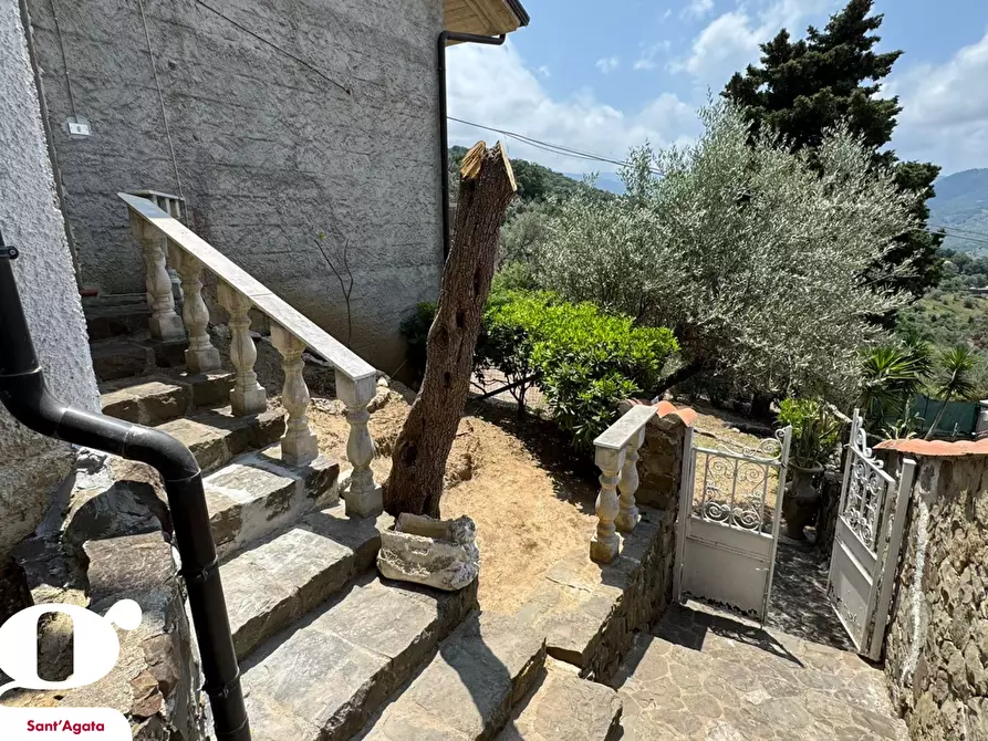 Immagine 10 di Villa in vendita  in Contrada VALLE BRUCA, 233 a Sant'agata Di Militello