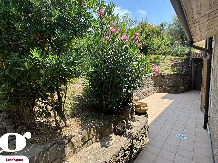 Immagine 13 di Villa in vendita  in Contrada VALLE BRUCA, 233 a Sant'agata Di Militello