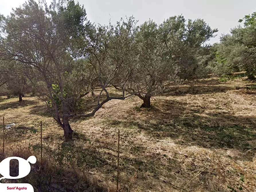 Immagine 2 di Terreno residenziale in vendita  in Via SAN PIETRO, SNC a Acquedolci