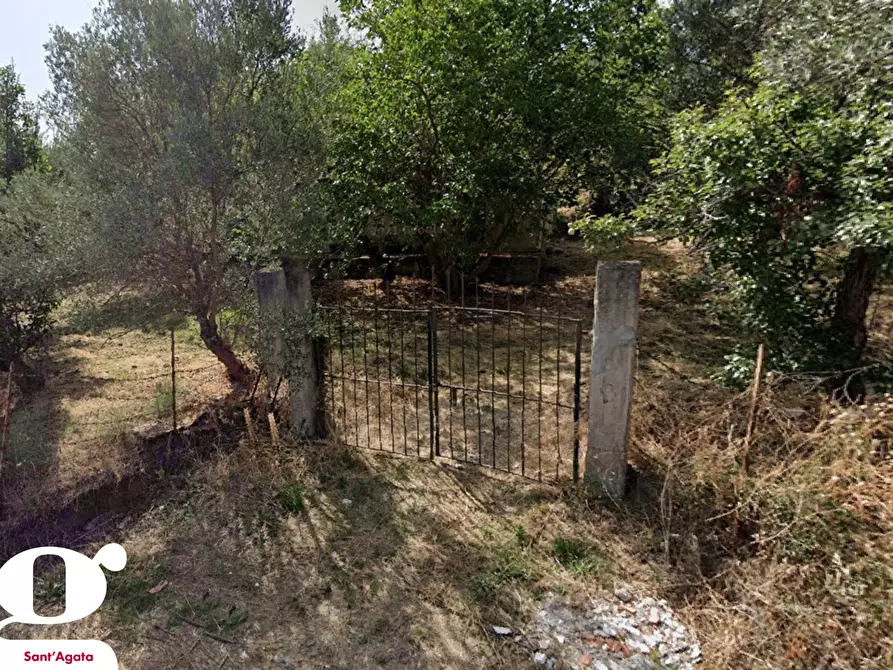 Immagine 3 di Terreno residenziale in vendita  in Via SAN PIETRO, SNC a Acquedolci