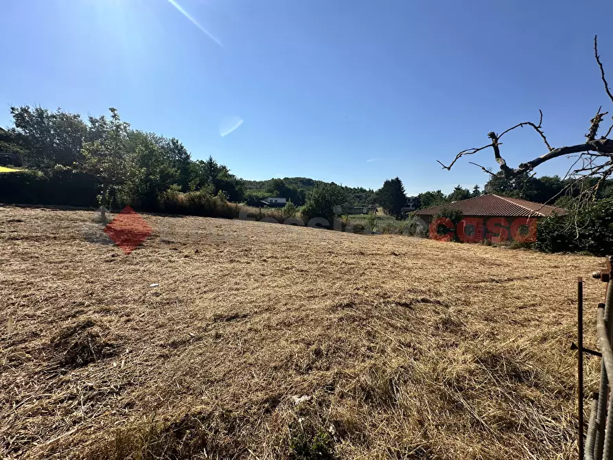 Immagine 6 di Terreno residenziale in vendita  in Via delle querce, 10 a Fiuggi