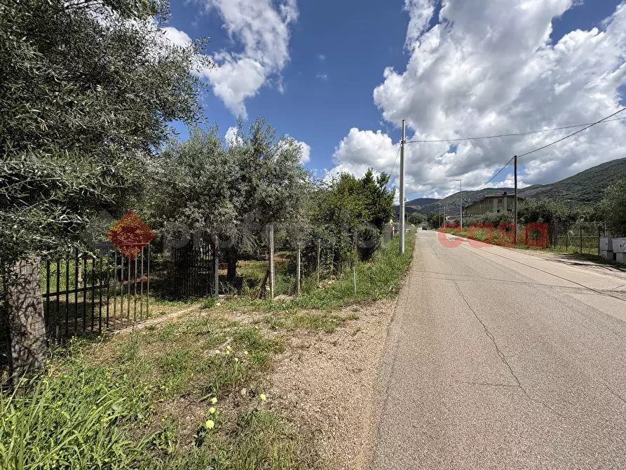 Immagine 6 di Terreno agricolo in vendita  in Via SCIFELLE, 21 a Terracina