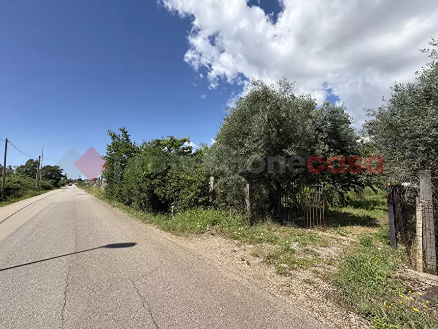 Immagine 2 di Terreno agricolo in vendita  in Via SCIFELLE, 21 a Terracina