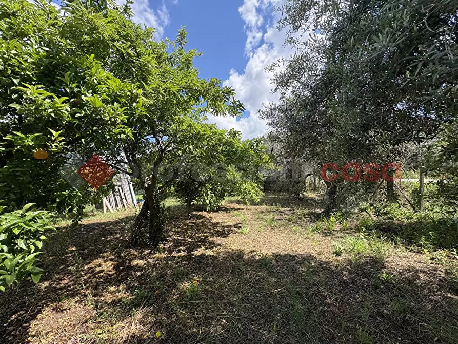 Immagine 7 di Terreno agricolo in vendita  in Via SCIFELLE, 21 a Terracina