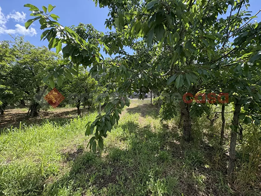 Immagine 10 di Terreno agricolo in vendita  in Via SCIFELLE, 21 a Terracina