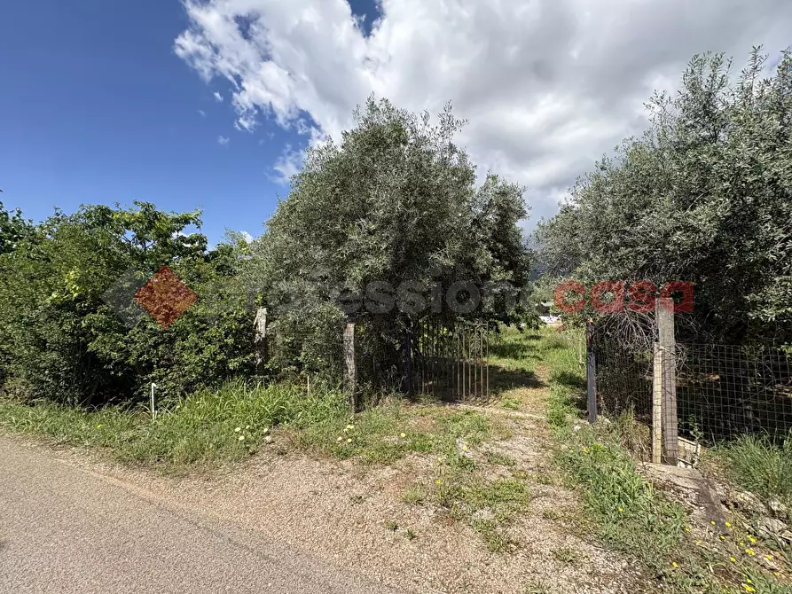 Immagine 3 di Terreno agricolo in vendita  in Via SCIFELLE, 21 a Terracina
