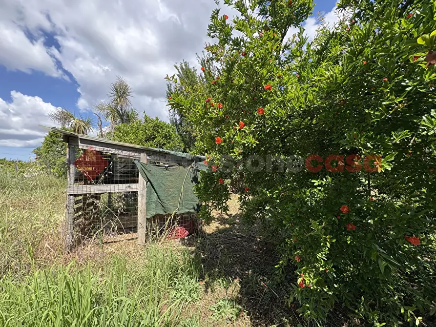 Immagine 9 di Terreno agricolo in vendita  in Via SCIFELLE, 21 a Terracina