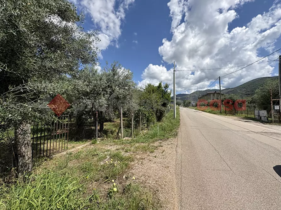 Immagine 5 di Terreno agricolo in vendita  in Via SCIFELLE, 21 a Terracina