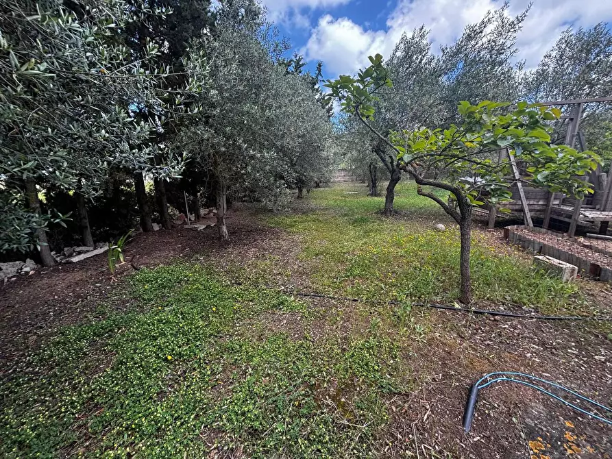 Immagine 15 di Appartamento in vendita  in Via Frazione Is Cherchis, snc a Narcao