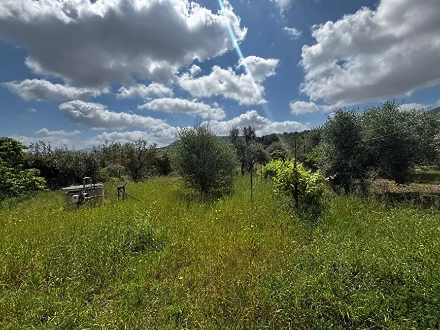 Immagine 6 di Casa bifamiliare in vendita  in Via Frazione Is Cherchis, snc a Narcao