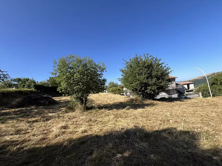 Immagine 7 di Terreno residenziale in vendita  in Via valle del riccio, snc a Fiuggi