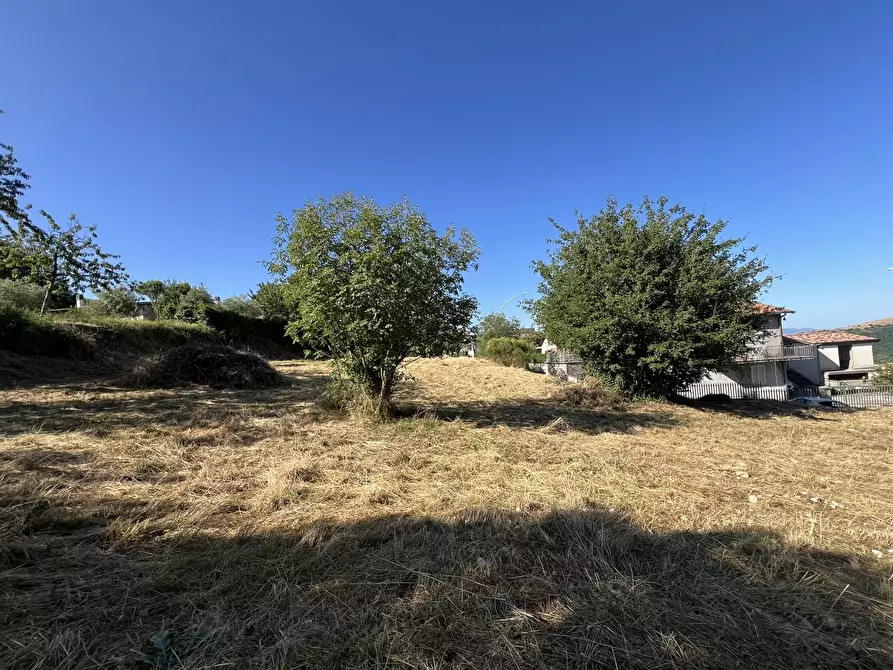 Immagine 5 di Terreno residenziale in vendita  in Via valle del riccio, snc a Fiuggi