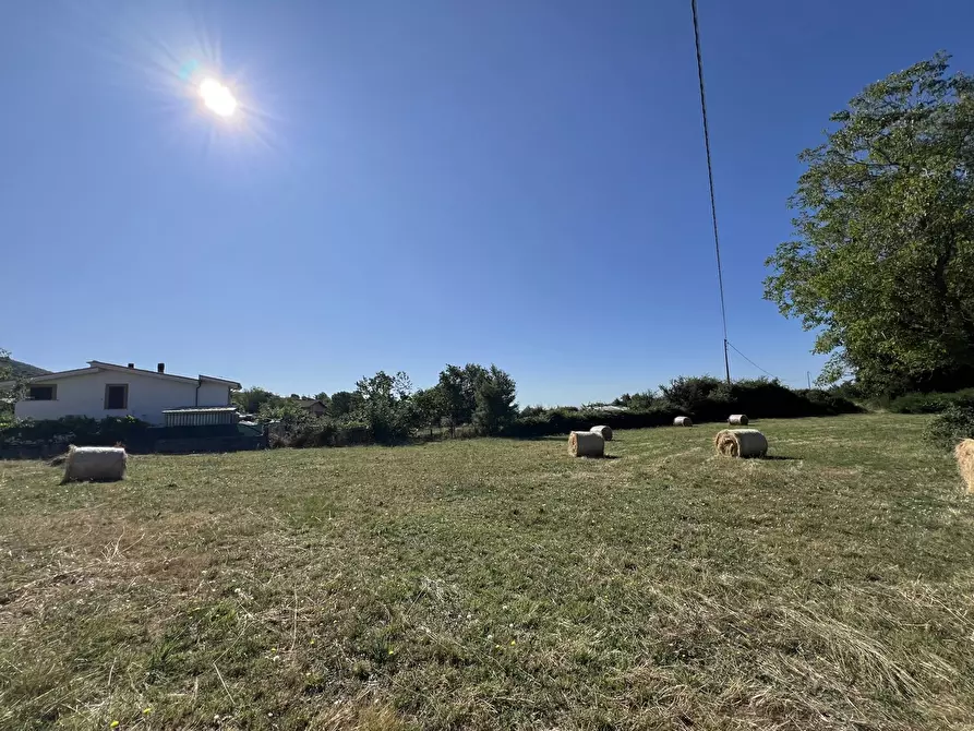Immagine 3 di Terreno agricolo in vendita  in Via per torre, snc a Fiuggi