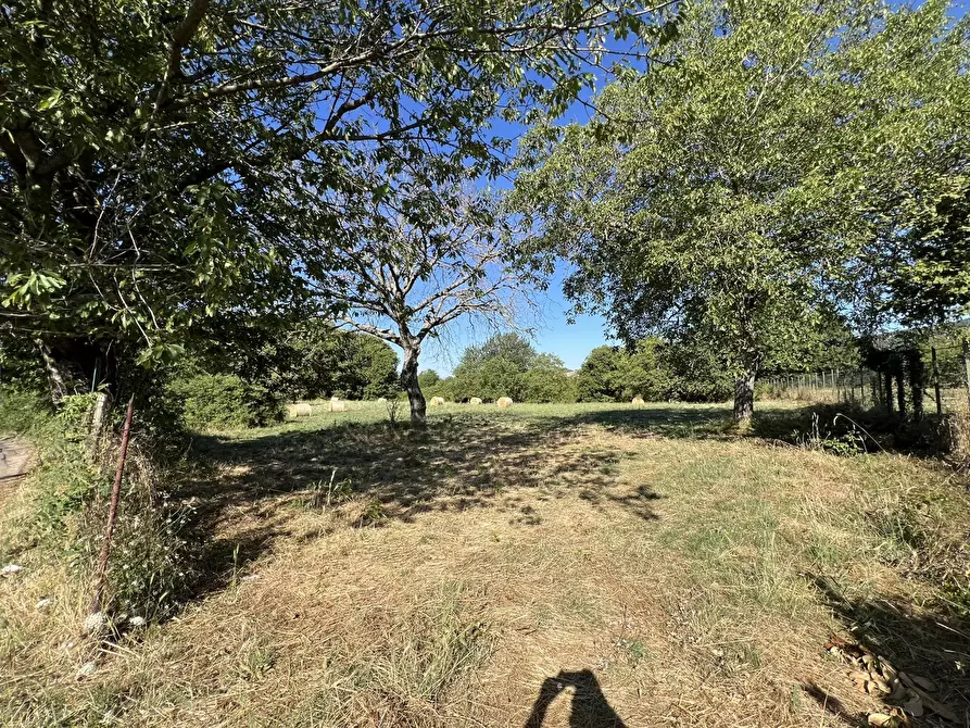 Immagine 8 di Terreno agricolo in vendita  in Via per torre, snc a Fiuggi