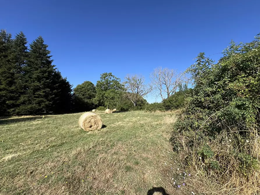 Immagine 5 di Terreno agricolo in vendita  in Via per torre, snc a Fiuggi