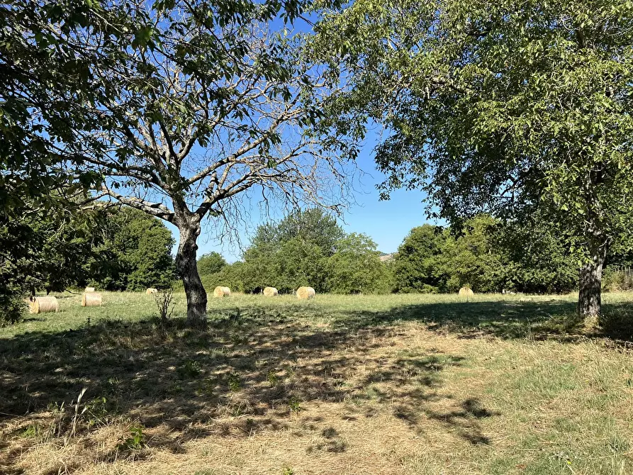 Immagine 9 di Terreno agricolo in vendita  in Via per torre, snc a Fiuggi