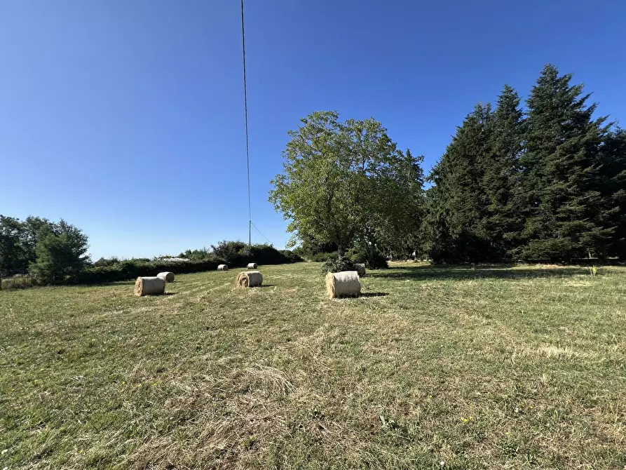 Immagine 2 di Terreno agricolo in vendita  in Via per torre, snc a Fiuggi