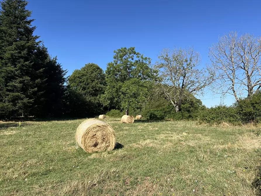 terreno agricolo in vendita a Fiuggi