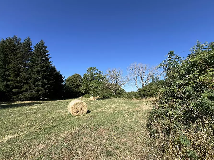 Immagine 6 di Terreno agricolo in vendita  in Via per torre, snc a Fiuggi