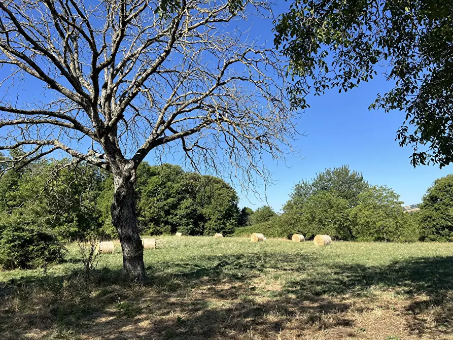 Immagine 10 di Terreno agricolo in vendita  in Via per torre, snc a Fiuggi