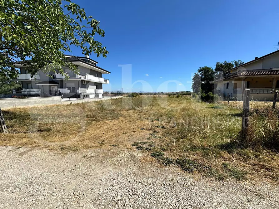 Immagine 4 di Terreno agricolo in vendita  in Via dei Sabini, snc a Sant'egidio Alla Vibrata