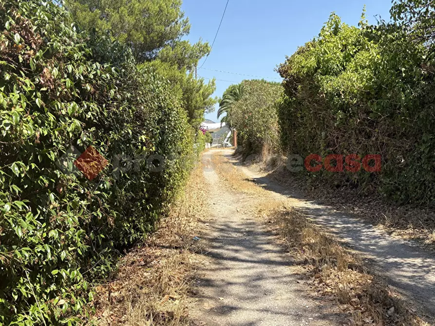 Immagine 5 di Terreno agricolo in vendita  in Via PONTINA, 21 a Terracina