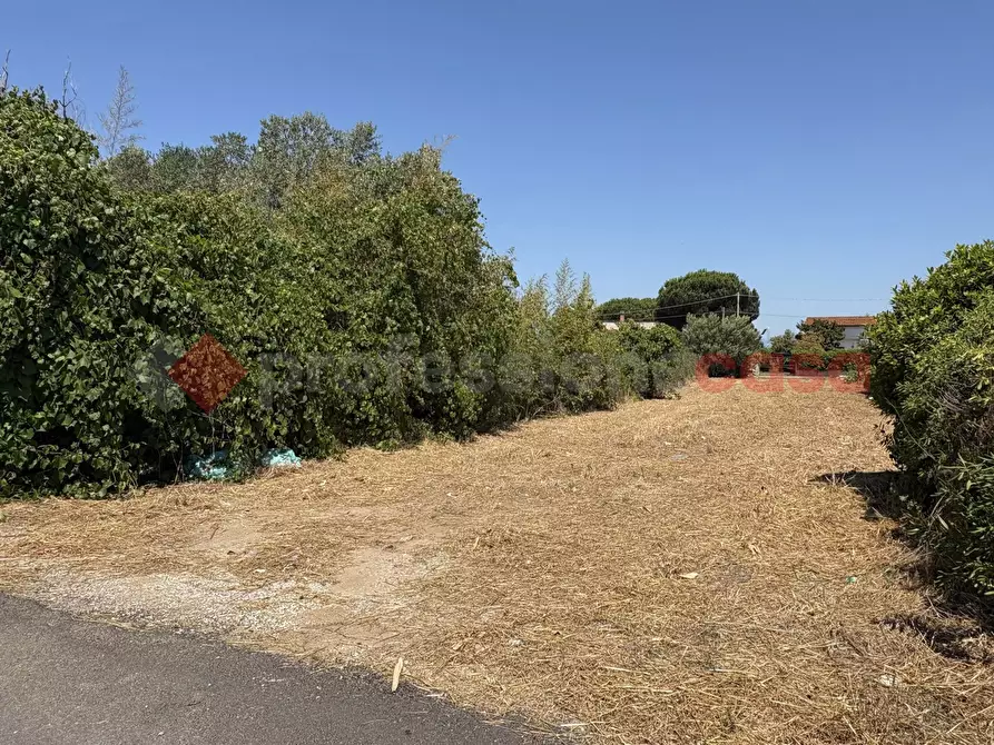 Immagine 2 di Terreno agricolo in vendita  in Via PONTINA, 21 a Terracina