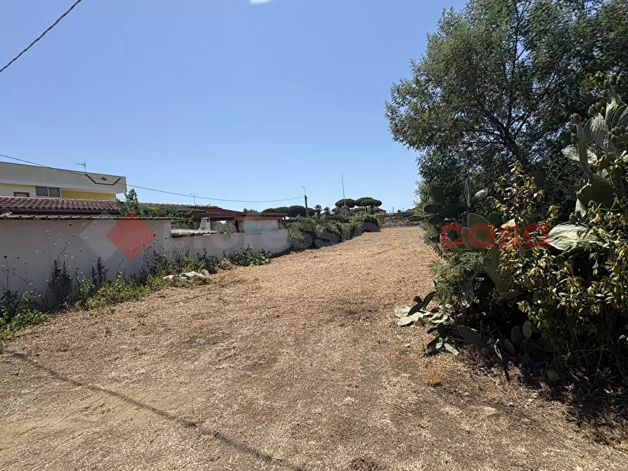Immagine 9 di Terreno agricolo in vendita  in Via PONTINA, 21 a Terracina