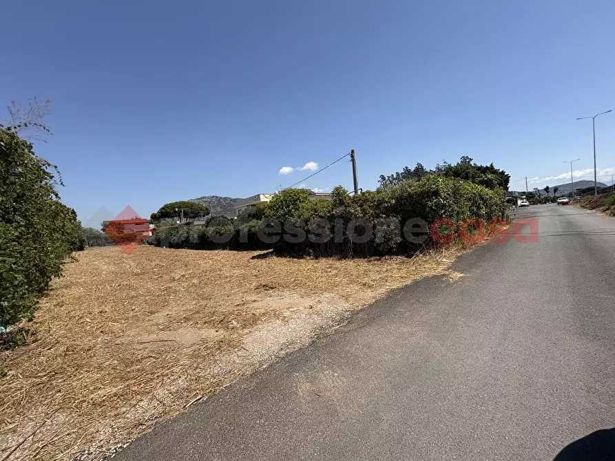Immagine 10 di Terreno agricolo in vendita  in Via PONTINA, 21 a Terracina