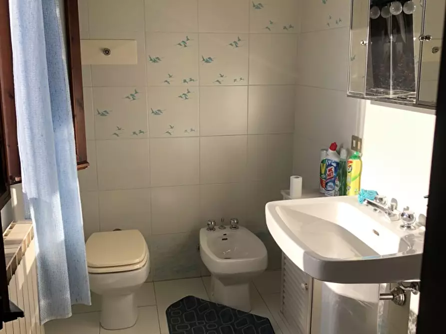 Immagine 14 di Casa indipendente in vendita  in Via PASSETTO Strada Passetto, 0 a Adria