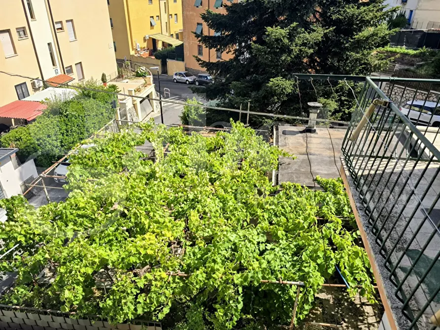 Immagine 9 di Appartamento in vendita  in Via Pomezia, 2 a Colleferro