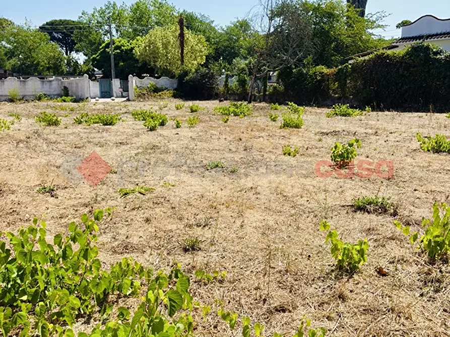 Immagine 36 di Terreno agricolo in vendita  in Via OASI DEL SISTO, 31 a Terracina