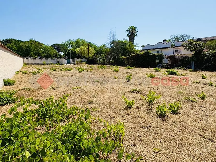 Immagine 14 di Terreno agricolo in vendita  in Via OASI DEL SISTO, 31 a Terracina