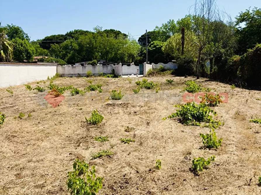 Immagine 13 di Terreno agricolo in vendita  in Via OASI DEL SISTO, 31 a Terracina