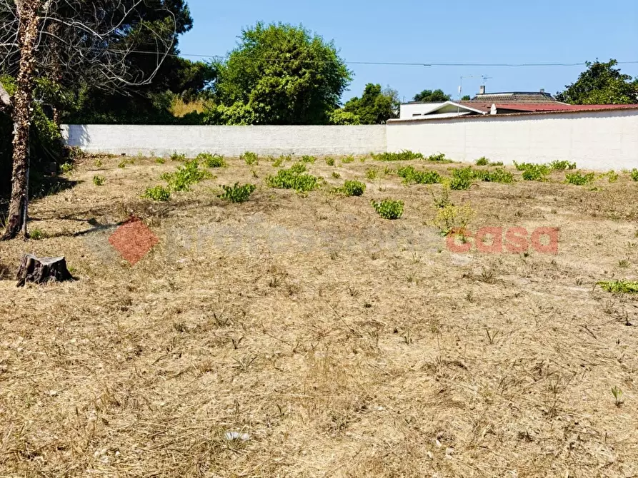 Immagine 24 di Terreno agricolo in vendita  in Via OASI DEL SISTO, 31 a Terracina