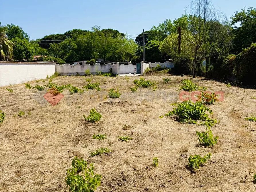 Immagine 34 di Terreno agricolo in vendita  in Via OASI DEL SISTO, 31 a Terracina